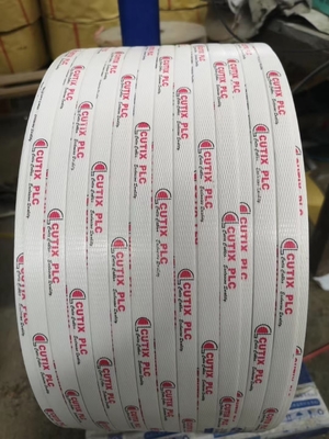 IVNT Inverter PP Strap Band Extrusion Line Dengan Rentang Lebar 5-19mm